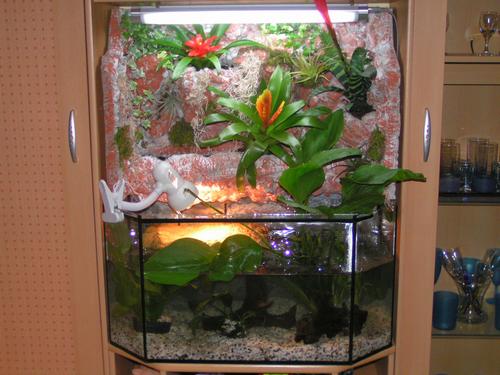 PALUDARIUM - 