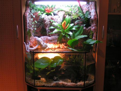 PALUDARIUM - 