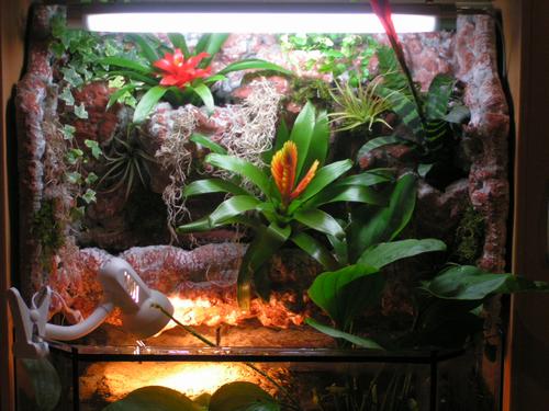 PALUDARIUM - 