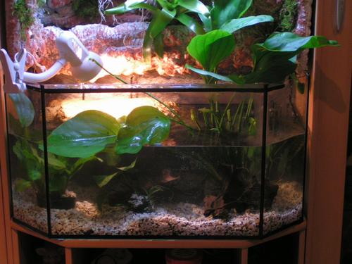 PALUDARIUM - 