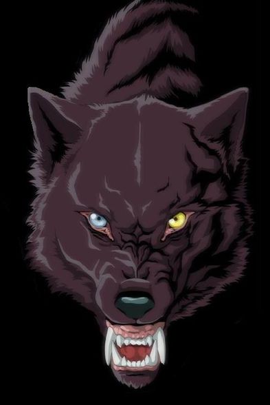 Wolfs Rain!! - 