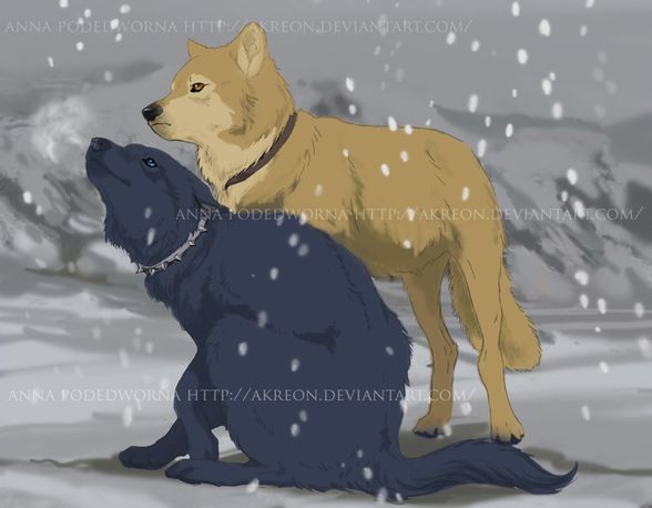 Wolfs Rain!! - 