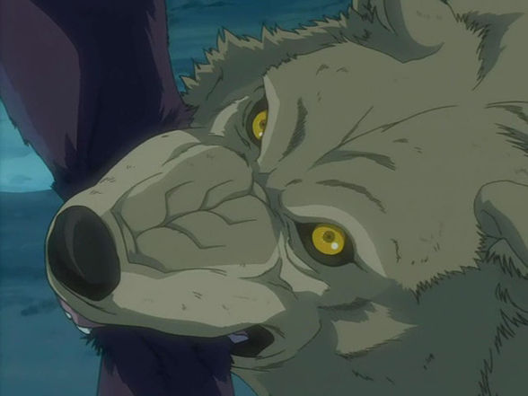 Wolfs Rain!! - 