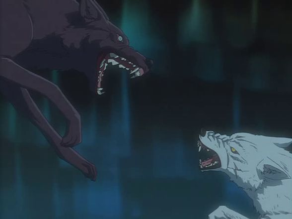 Wolfs Rain!! - 