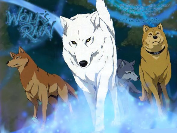 Wolfs Rain!! - 