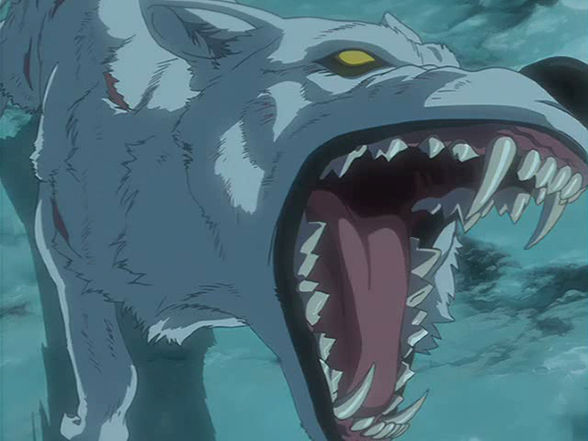 Wolfs Rain!! - 