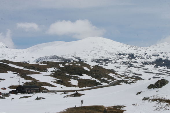 Sognefjell - 