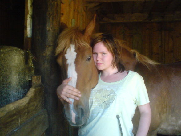 Ich und Mein Pferd  + Mitbewohner - 