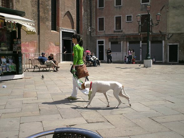 Venedig 2007 - 