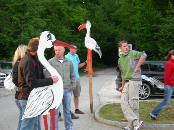 Storch aufstellen am 13.5.09  - 