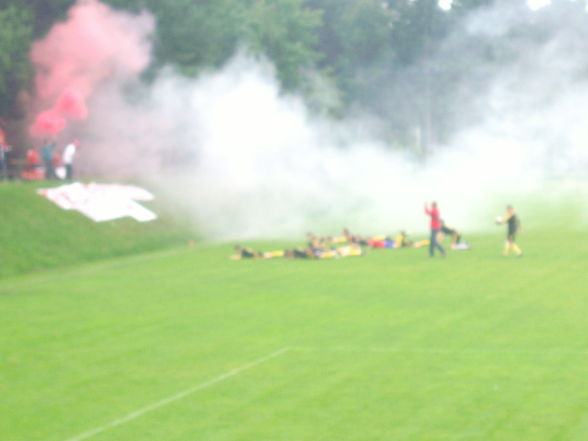 USVM- Meister 2008 - 