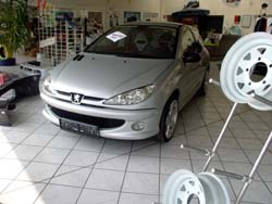 Mein Peugeot 206 - 