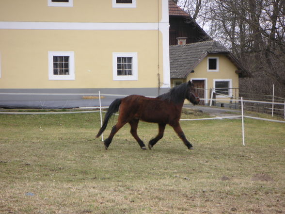 Meine Zwergnase - 