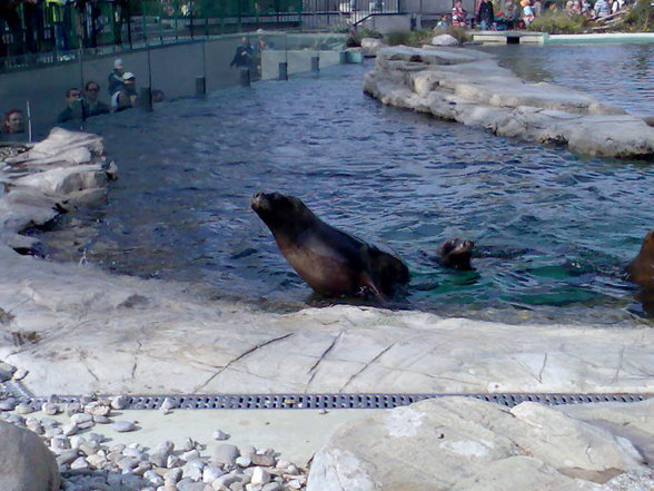 Tiergarten Schönbrunn - 