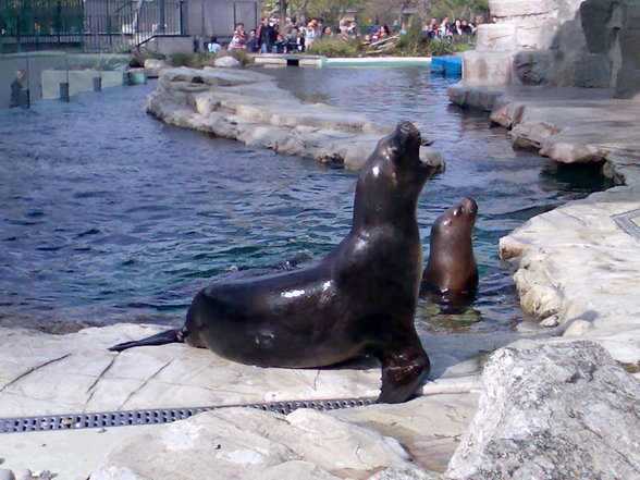 Tiergarten Schönbrunn - 