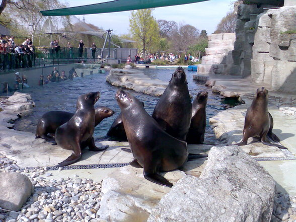 Tiergarten Schönbrunn - 