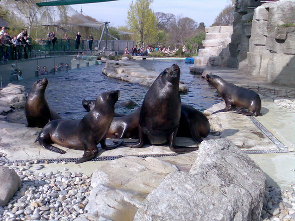 Tiergarten Schönbrunn - 