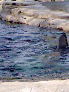 Tiergarten Schönbrunn - 