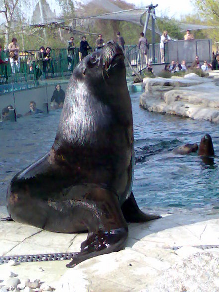 Tiergarten Schönbrunn - 