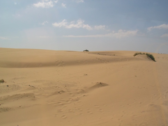 Fuerteventura  - 