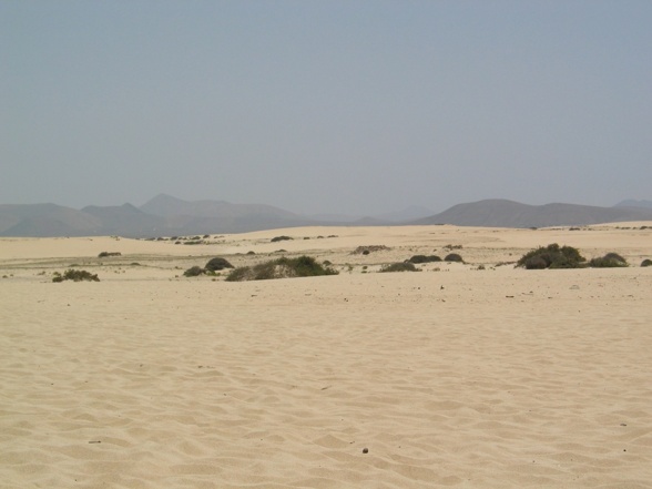 Fuerteventura  - 