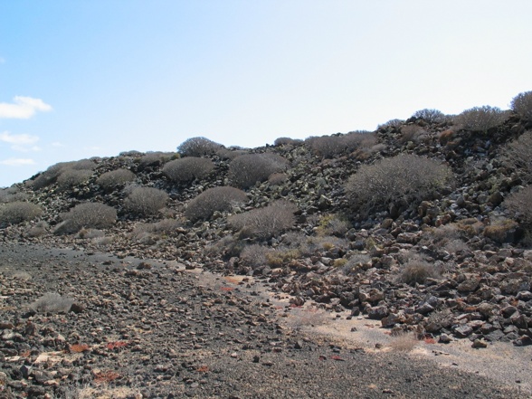 Fuerteventura  - 