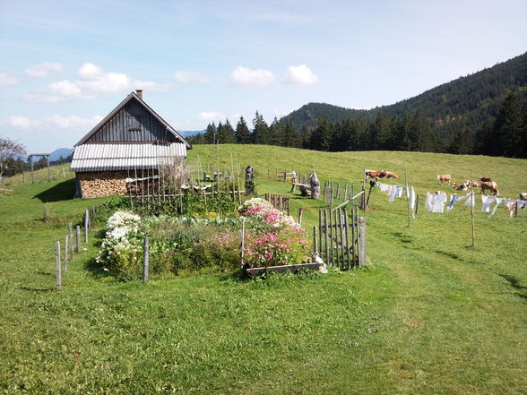 Ebenforst Alm 2009-09 - 