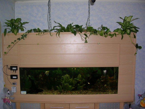 Mein Aquarium 500 Liter - 