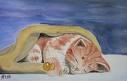 Katzen - 