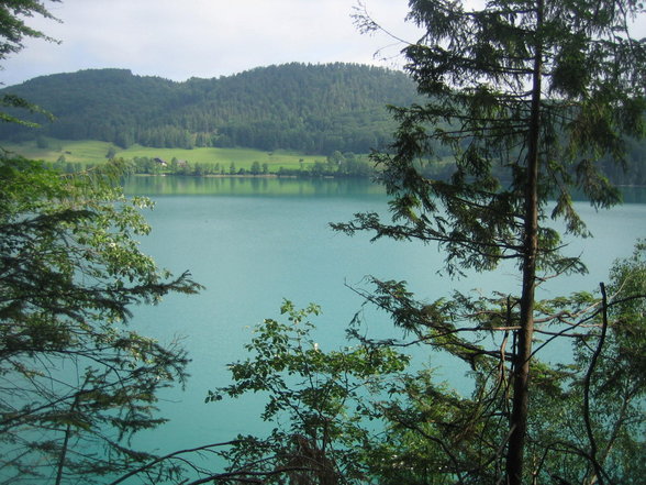 FuSchLsee* - 