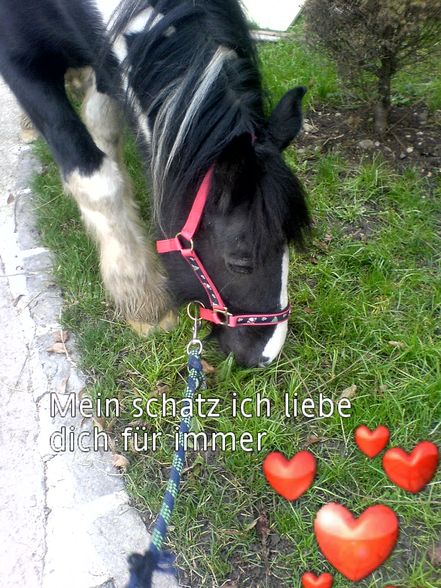 Du bist mein ein und alles lieb di. - 
