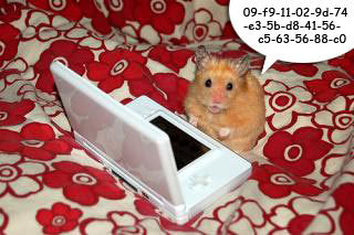 Hamster!!! - 