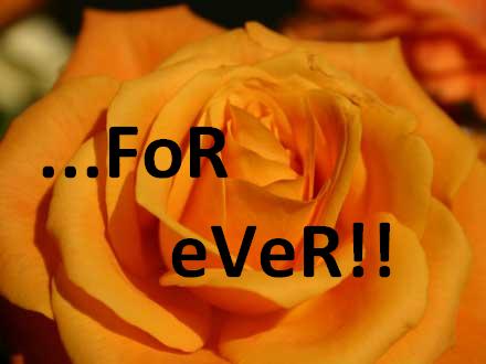 ...fOr EveR!!!! - 