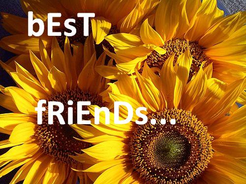 wE aRe bEsT frieNdS... - 