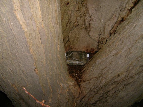 GeoCaching - 