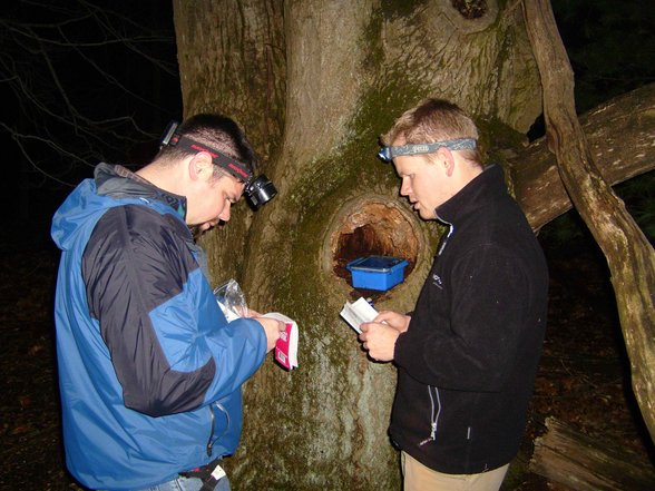 GeoCaching - 