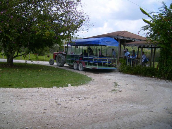 Urlaub Jamaica 03/2007 - 