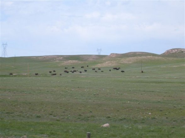 Colorado - Wyoming Juni 2007 - 