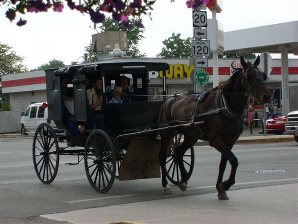 Amish Country, Shipshewana Indiana - 