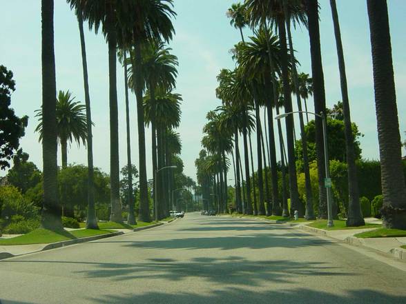 Urlaub Californien Juli 2006 - 