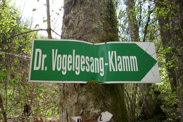 Vogelgesang Klamm  09 - 