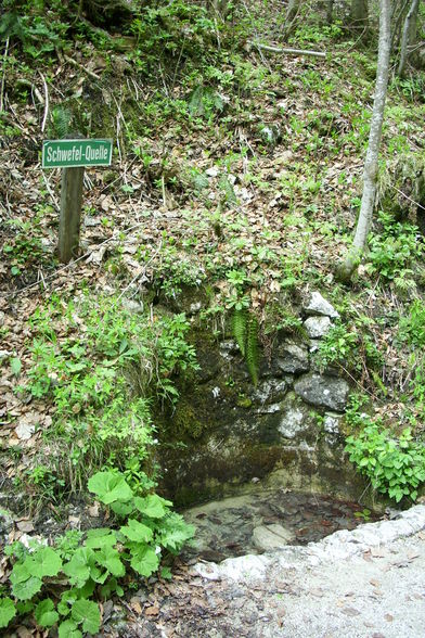 Vogelgesang Klamm  09 - 