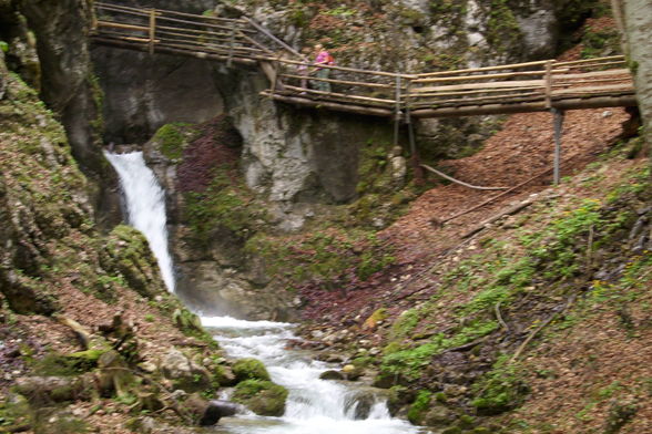 Vogelgesang Klamm  09 - 