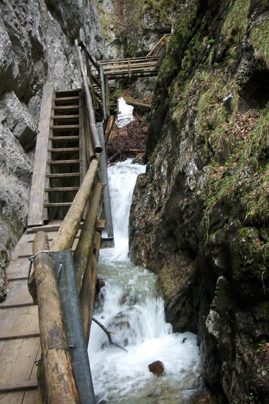 Vogelgesang Klamm  09 - 