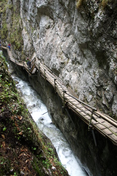 Vogelgesang Klamm  09 - 