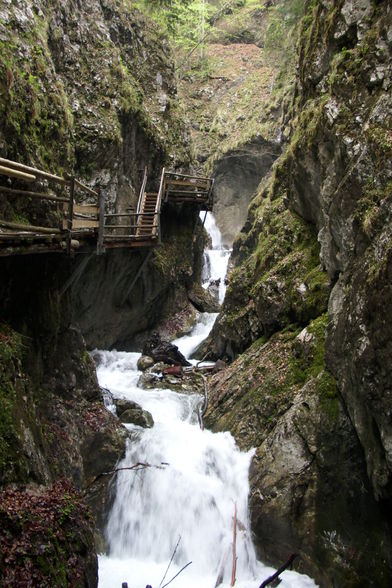 Vogelgesang Klamm  09 - 