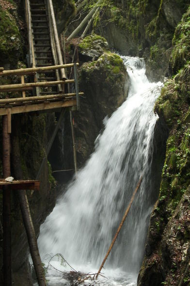 Vogelgesang Klamm  09 - 