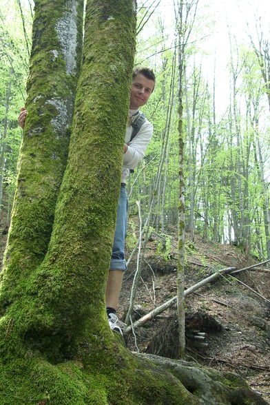 Vogelgesang Klamm  09 - 