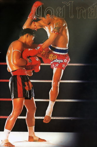 muay thai - 