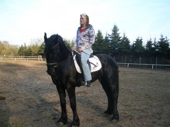 Aramis der kleine Racker - 